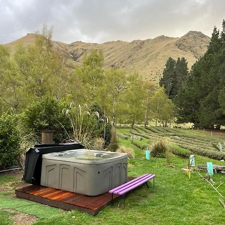Danseys Pass Lavender Farm Villa Tokarahi Eksteriør bilde