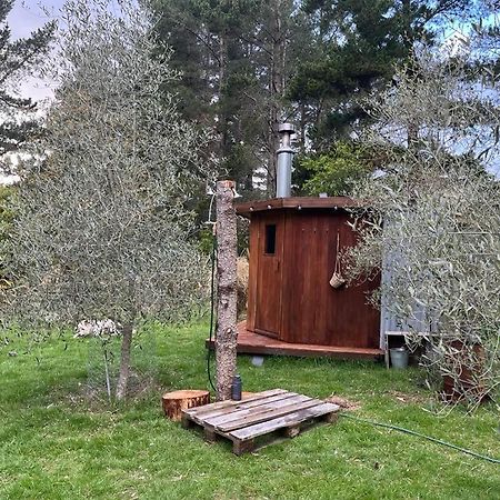 Danseys Pass Lavender Farm Villa Tokarahi Eksteriør bilde