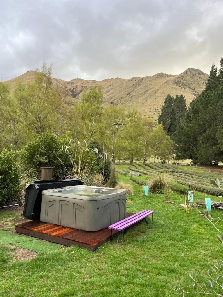 Danseys Pass Lavender Farm Villa Tokarahi Eksteriør bilde